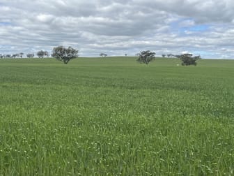 153 Wongamine Road Northam WA 6401 - Image 2