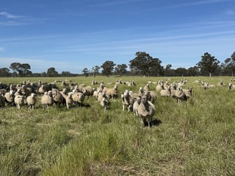 Click to view all images . O'Keeffe Road Culcairn NSW 2660 - Image 1