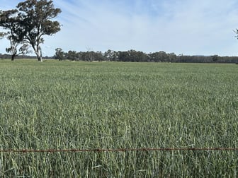 Click to view all images . O'Keeffe Road Culcairn NSW 2660 - Image 2