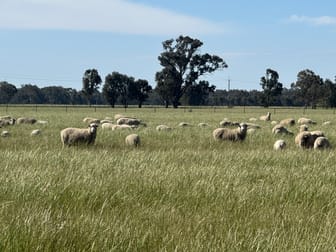 Click to view all images . O'Keeffe Road Culcairn NSW 2660 - Image 3