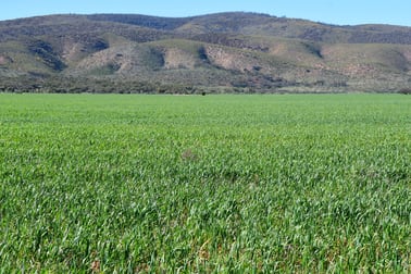 1200 Middle Track Road Port Germein SA 5495 - Image 1