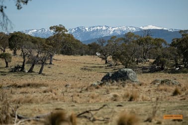 "Tandys Flat" 301 Mugridge Road Moonbah NSW 2627 - Image 3