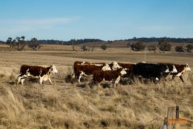 "Rosewood" Jimenbuen Road Numbla Vale NSW 2628 - Image 1