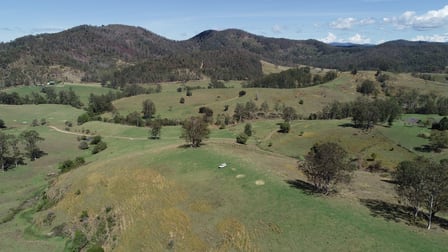 Leachs Road Strathcedar NSW 2429 - Image 1