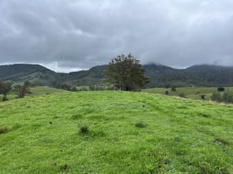 Leachs Road Strathcedar NSW 2429 - Image 2
