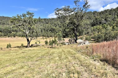 1880 Paynes Crossing Road Paynes Crossing NSW 2325 - Image 3