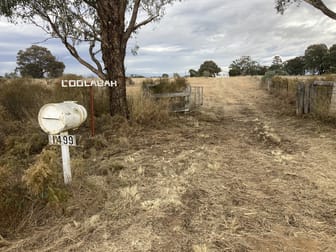 "Coolabah" 1499 Brooks Road Binnaway NSW 2395 - Image 1