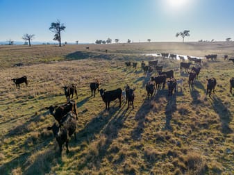 ‘Summer Hill & Rosedale’ Aggregation, Summerhill Road Cassilis NSW 2329 - Image 3