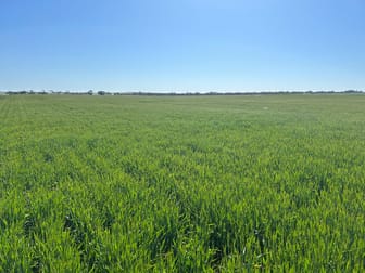 Staehrs Road Nhill VIC 3418 - Image 3
