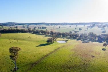 171 Keajura Road Tarcutta NSW 2652 - Image 2