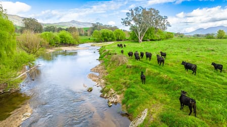 'Part Moorabinda'/727 Tallangatta Creek Rd Tallangatta Valley VIC 3701 - Image 1