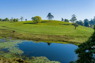 342 North Maleny Road North Maleny QLD 4552 - Image 1