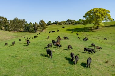 342 North Maleny Road North Maleny QLD 4552 - Image 3