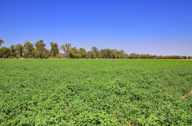 76 Biloela Callide Road Mount Murchison QLD 4715 - Image 3