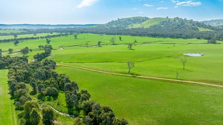 8349 Hume Highway Little Billabong NSW 2644 - Image 3