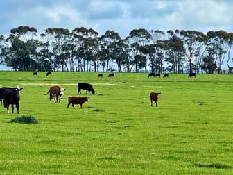 Lot 3 Castle Carey Road Mortlake VIC 3272 - Image 2