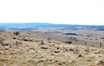 "Black Flat" Monaro Highway Nimmitabel NSW 2631 - Image 2