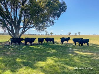 82 Tienga Road Bundarra NSW 2359 - Image 2