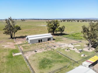 82 Tienga Rd, BUNDARRA Inverell NSW 2360 - Image 3