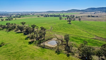 'Glenauchra' 16 Martins Lane Curra Creek NSW 2820 - Image 1