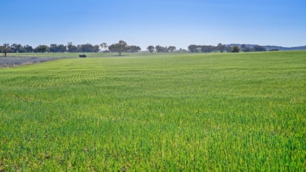 'Glenauchra' 16 Martins Lane Curra Creek NSW 2820 - Image 2