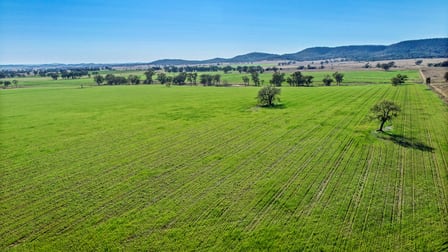 'Glenauchra' 16 Martins Lane Curra Creek NSW 2820 - Image 3