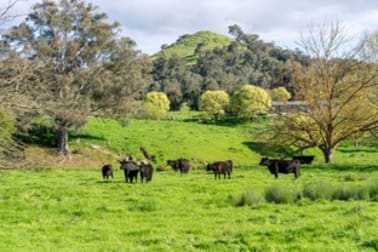 Click to view all images 411 Acheron Road Acheron VIC 3714 - Image 2