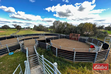 Click to view all images 982 Calivil Mail Road Calivil VIC 3573 - Image 2