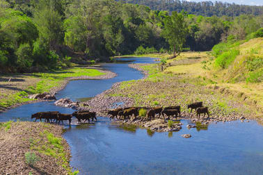 Toms Creek Road Ellenborough NSW 2446 - Image 3