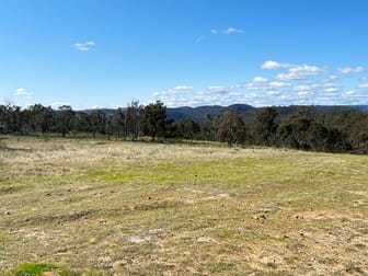 Lot 163 Hanworth Road Bannaby NSW 2580 - Image 1