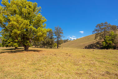 Lot A Big Run Road Wherrol Flat NSW 2429 - Image 1