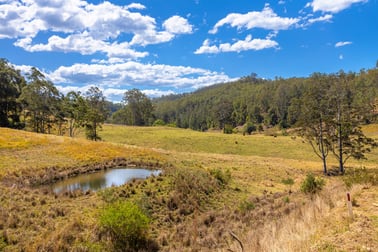 Lot A Big Run Road Wherrol Flat NSW 2429 - Image 2