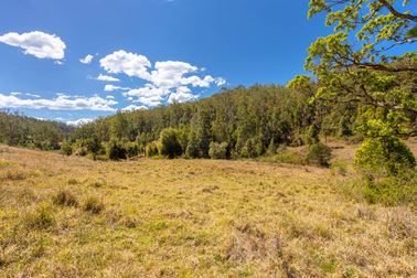 Lot B Big Run Road Wherrol Flat NSW 2429 - Image 2