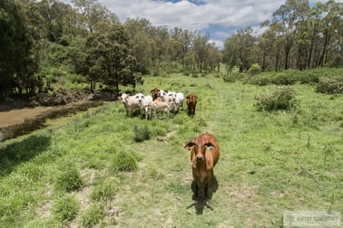 "Paradise" Gatton Clifton Road Mount Whitestone QLD 4347 - Image 2