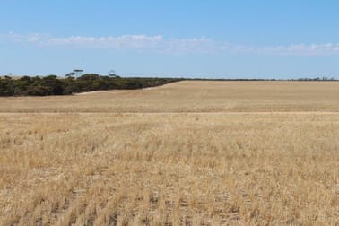 1568 Pickernell Road Varley WA 6355 - Image 1
