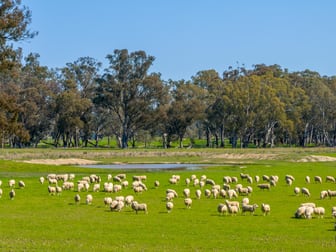 1213 Geodetic Road Euroa VIC 3666 - Image 1