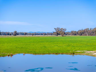 1213 Geodetic Road Euroa VIC 3666 - Image 3