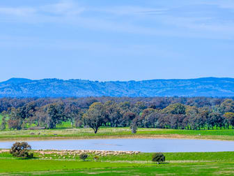 1350 Geodetic Road Euroa VIC 3666 - Image 1