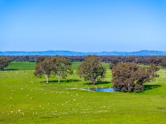 1350 Geodetic Road Euroa VIC 3666 - Image 2