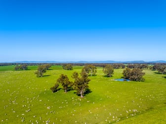 1350 Geodetic Road Euroa VIC 3666 - Image 3