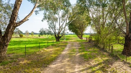 135 Jacka Lane Holbrook NSW 2644 - Image 1