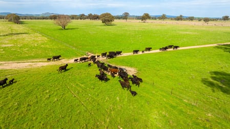 135 Jacka Lane Holbrook NSW 2644 - Image 2