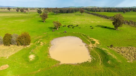 135 Jacka Lane Holbrook NSW 2644 - Image 3