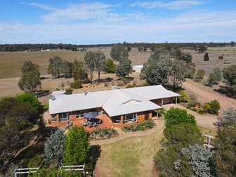 449 Mid Western Highway West Wyalong NSW 2671 - Image 1