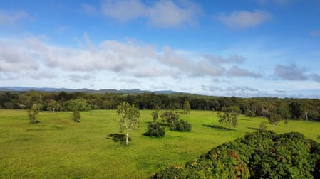 65 Raleigh Street Dimbulah QLD 4872 - Image 3