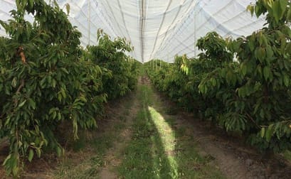 Rural & Farming  business for sale in TAS - Image 2