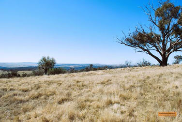 "The Top Paddock" Bairds Crossing Road Dalgety NSW 2628 - Image 2