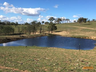 "The Top Paddock" Bairds Crossing Road Dalgety NSW 2628 - Image 3