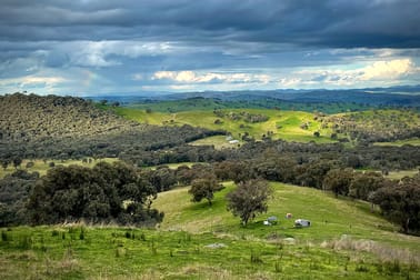280 Mantons Road Gundagai NSW 2722 - Image 3