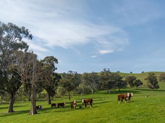 150 Middle Creek Road Kanumbra VIC 3719 - Image 1